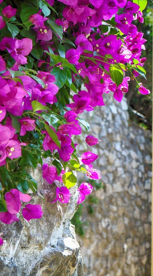 Positano Holidays ภายนอก รูปภาพ