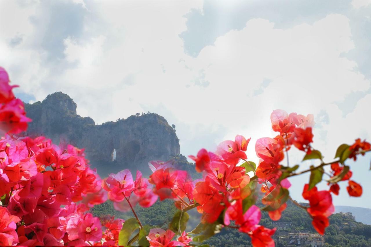 Positano Holidays ภายนอก รูปภาพ